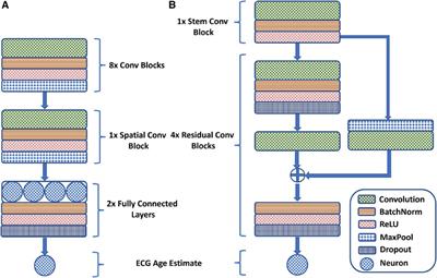 Enhancing ECG-based heart age: impact of acquisition parameters and generalization strategies for varying signal morphologies and corruptions